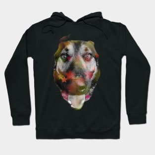 Dog Disco Hoodie